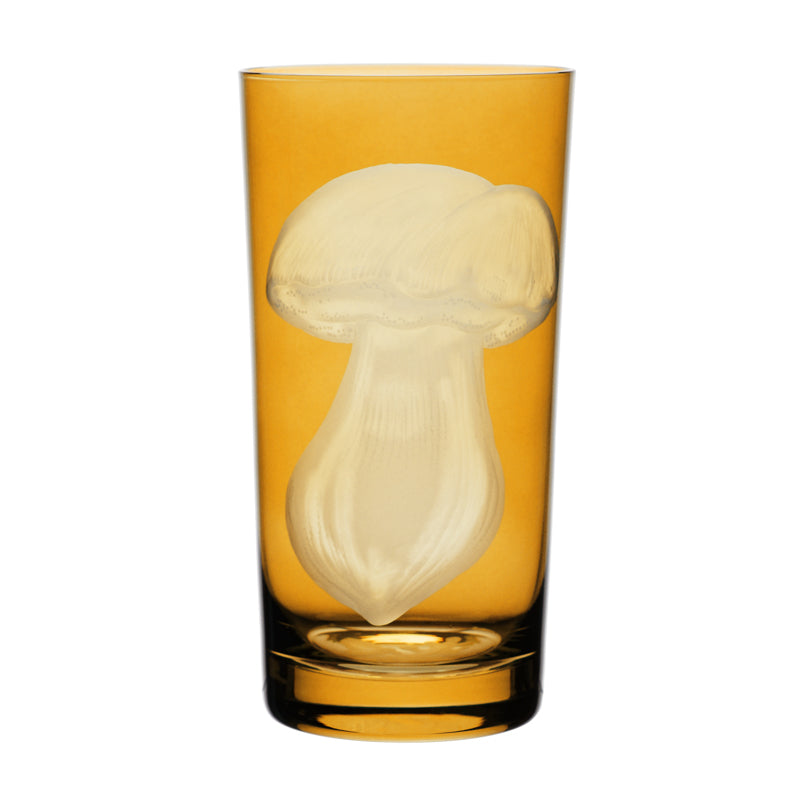 Mushrooms Summer Cep