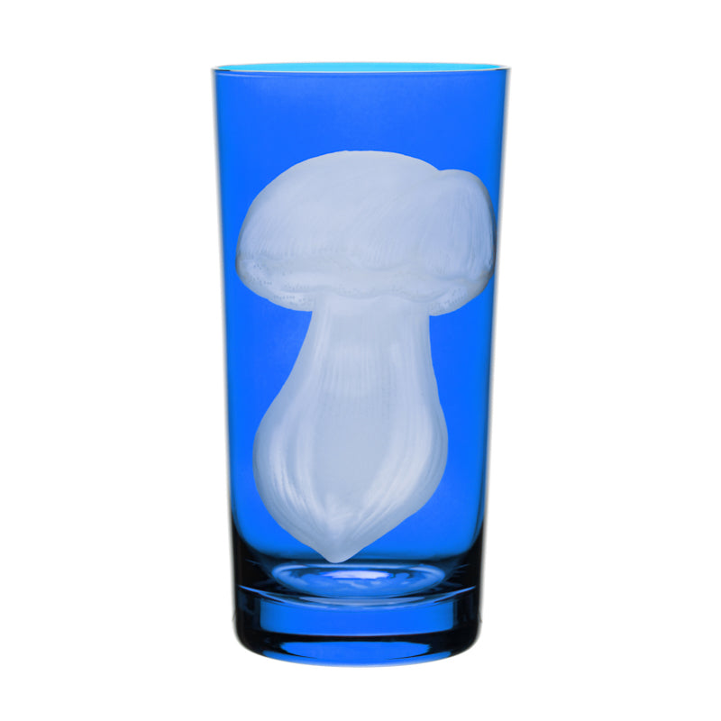 Mushrooms Summer Cep