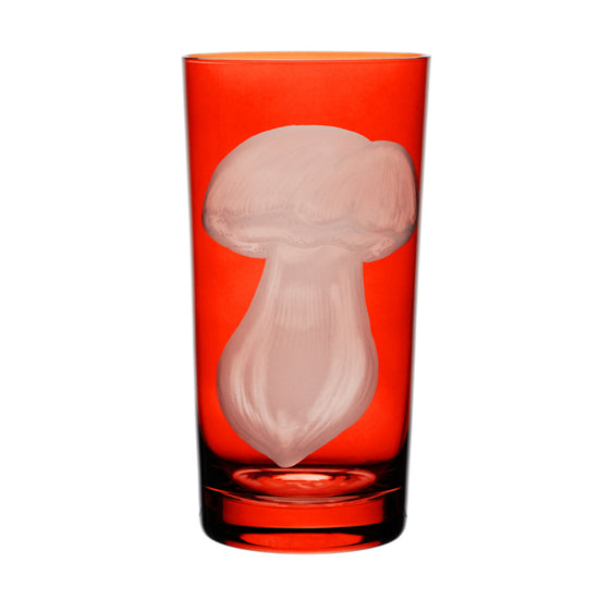 Mushrooms Summer Cep