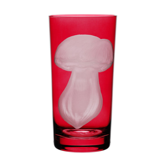 Mushrooms Summer Cep