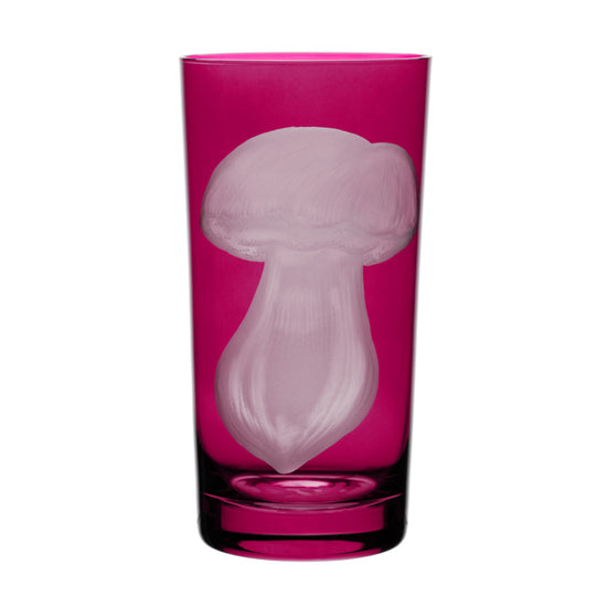 Mushrooms Summer Cep