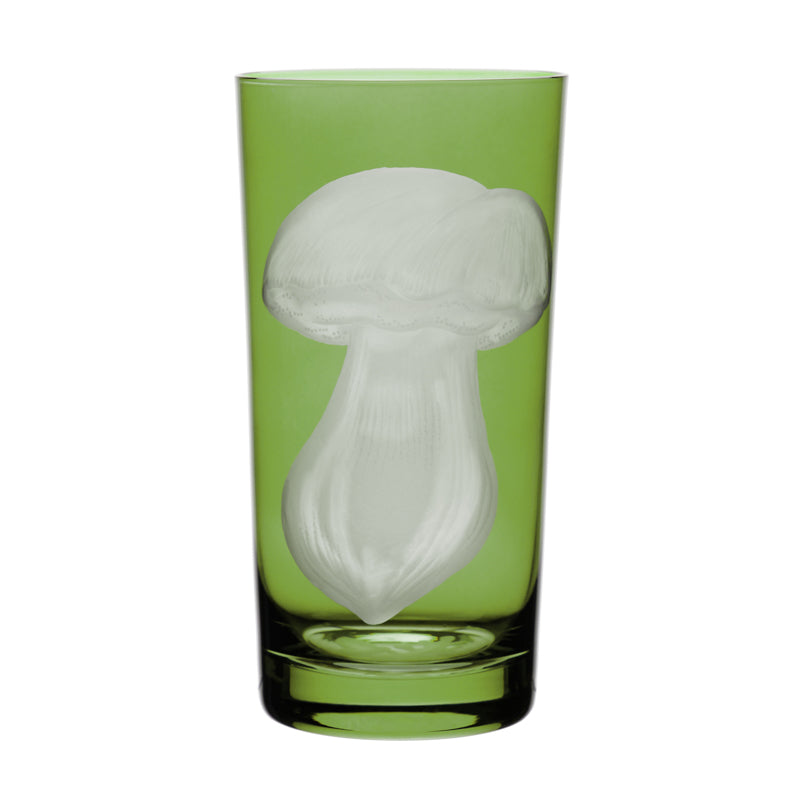 Mushrooms Summer Cep