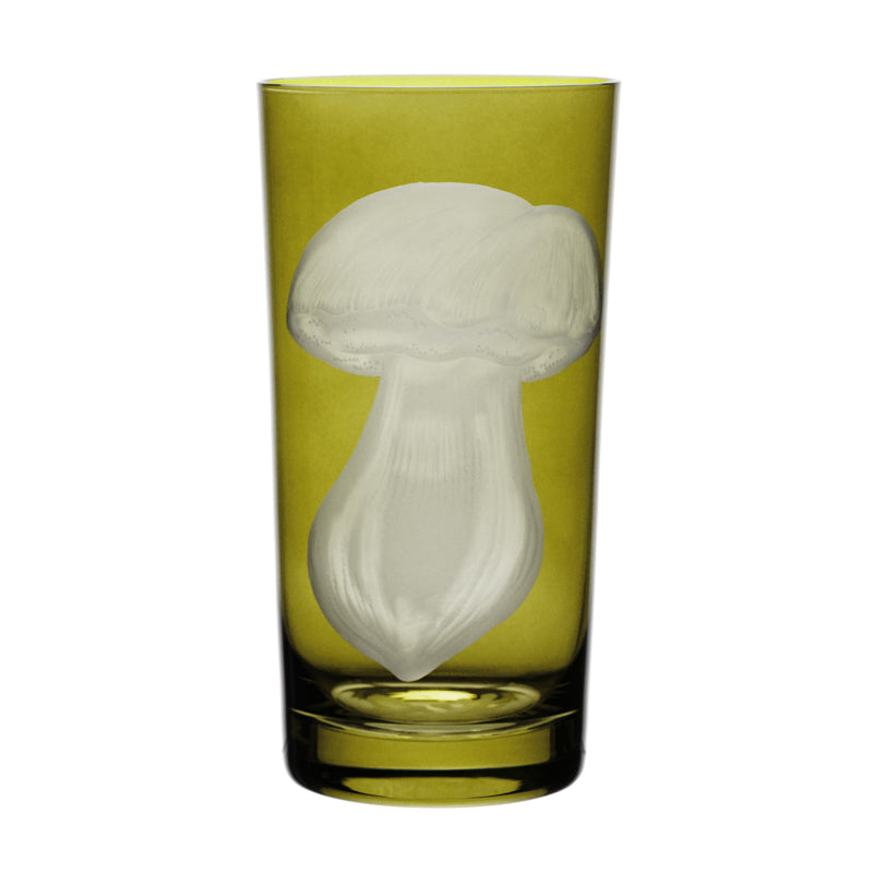 Mushrooms Summer Cep