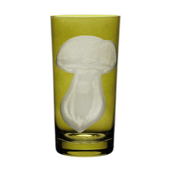 Mushrooms Summer Cep