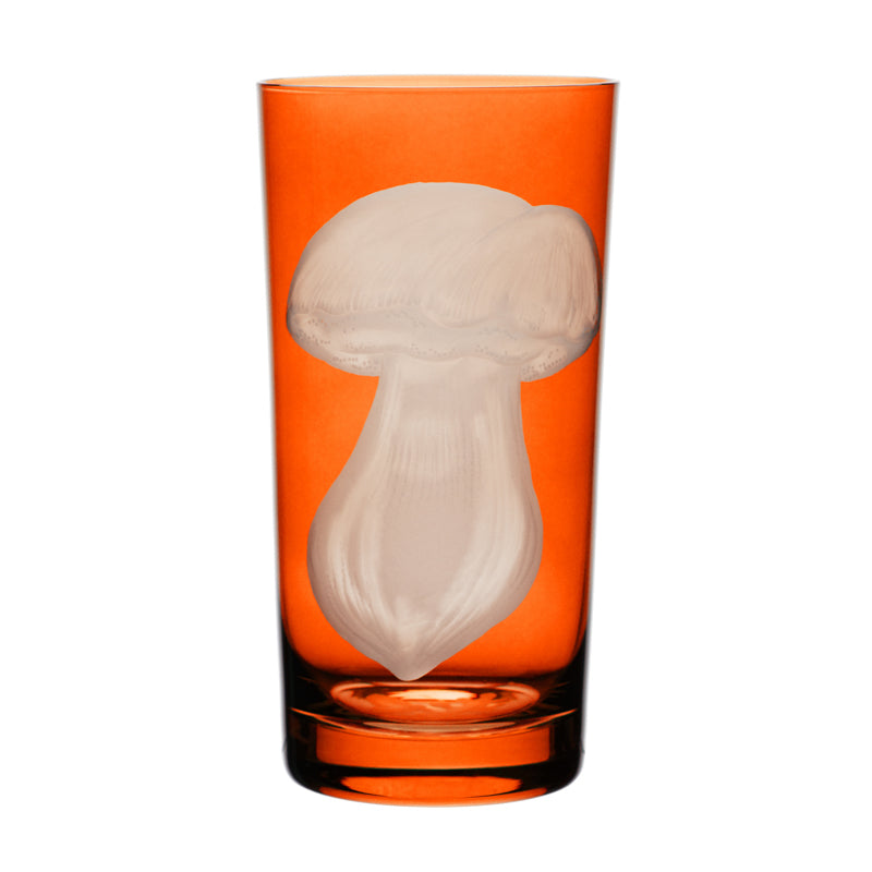 Mushrooms Summer Cep