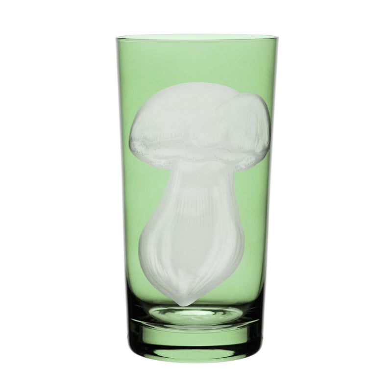 Mushrooms Summer Cep