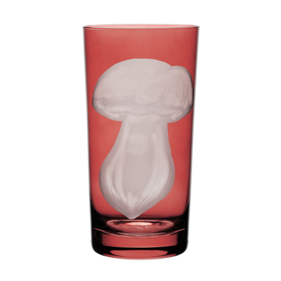 Mushrooms Summer Cep