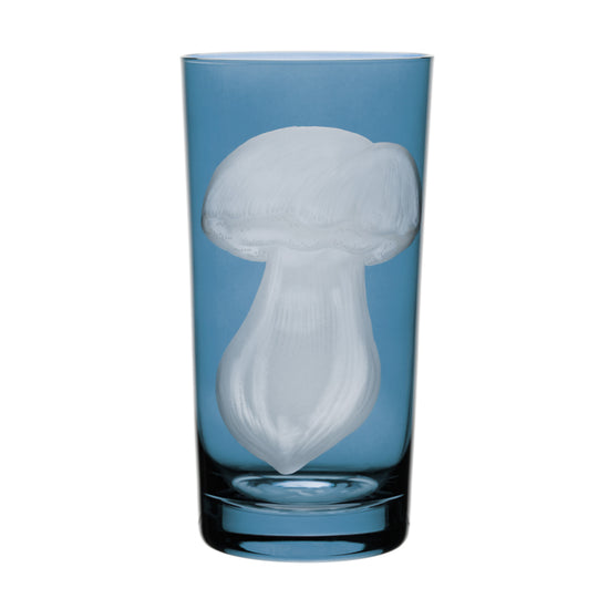 Mushrooms Summer Cep