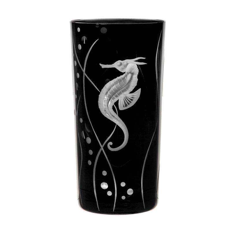 Sea Life Seahorse