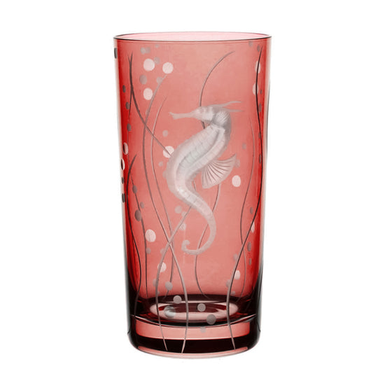 Sea Life Seahorse