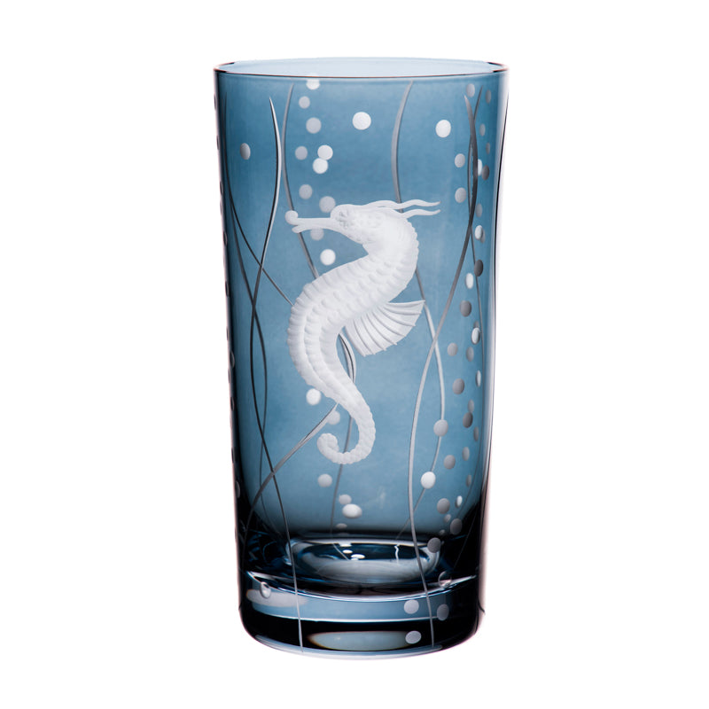 Sea Life Seahorse