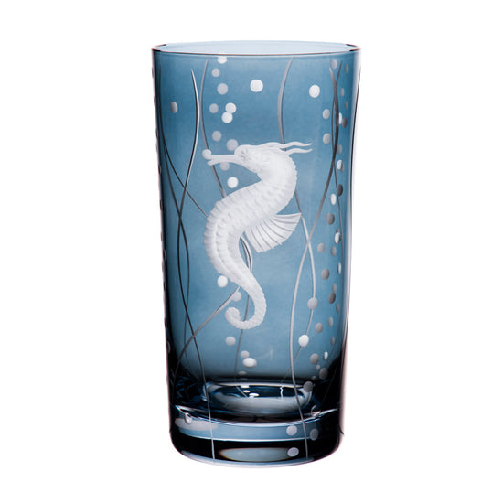 Sea Life Seahorse