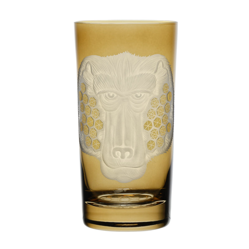 African Safari Baboon