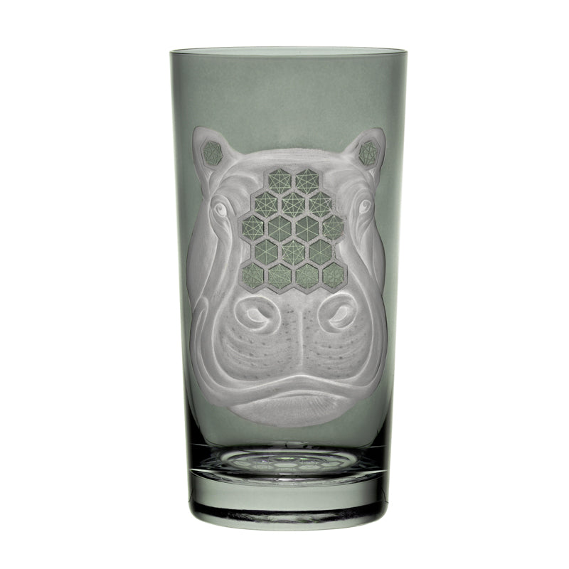 African Safari Hippopotamus