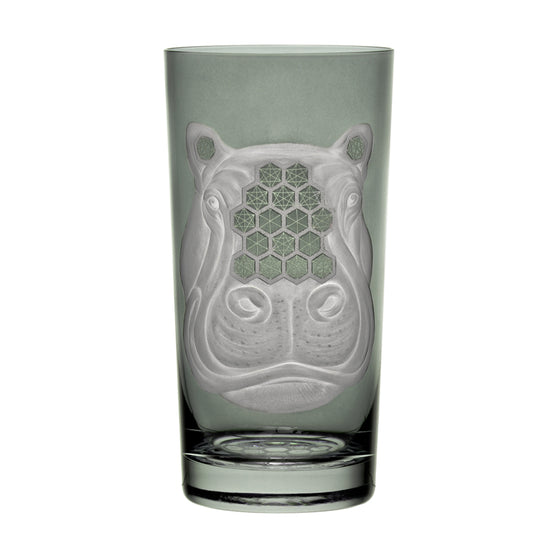 African Safari Hippopotamus