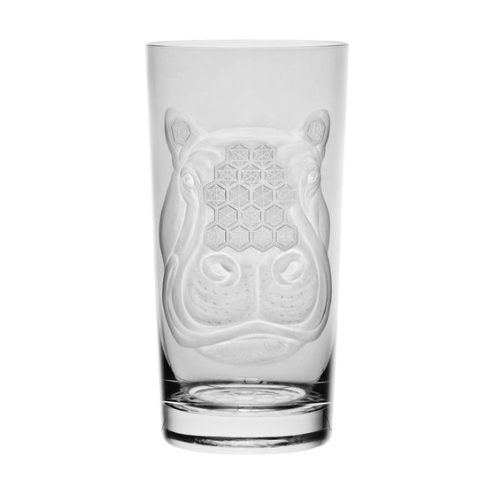 African Safari Hippopotamus