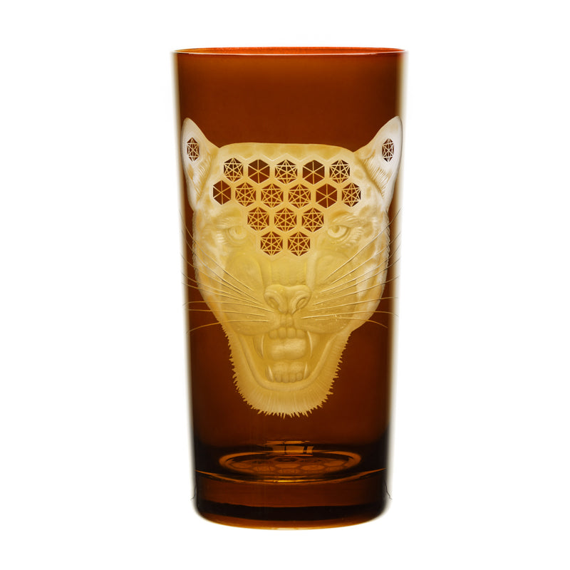 African Safari Jaguar