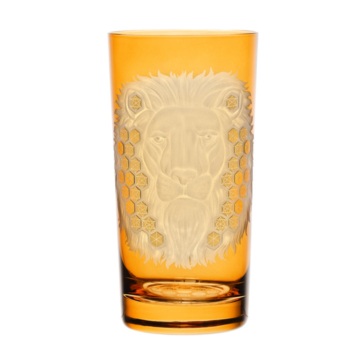 African Safari Lion
