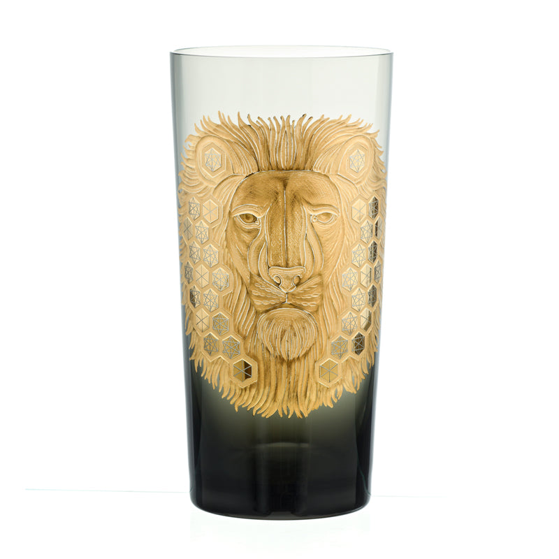 African Safari Lion