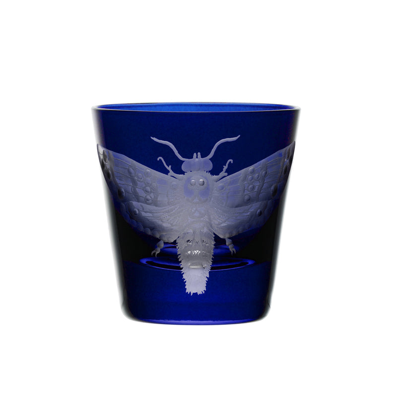 Cabinet of Curiosities Butterfly