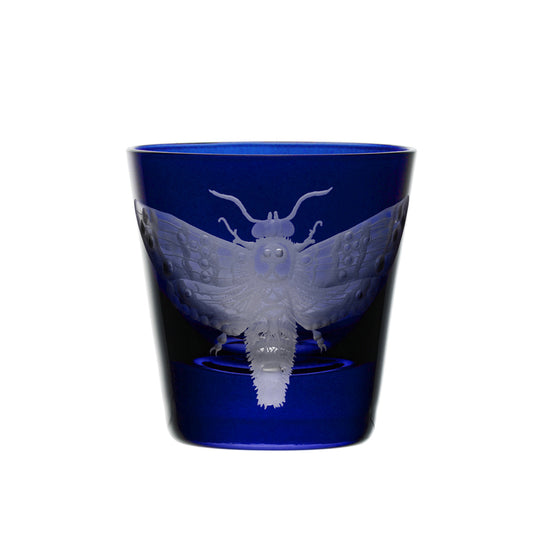 Cabinet of Curiosities Butterfly