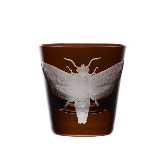 Cabinet of Curiosities Butterfly