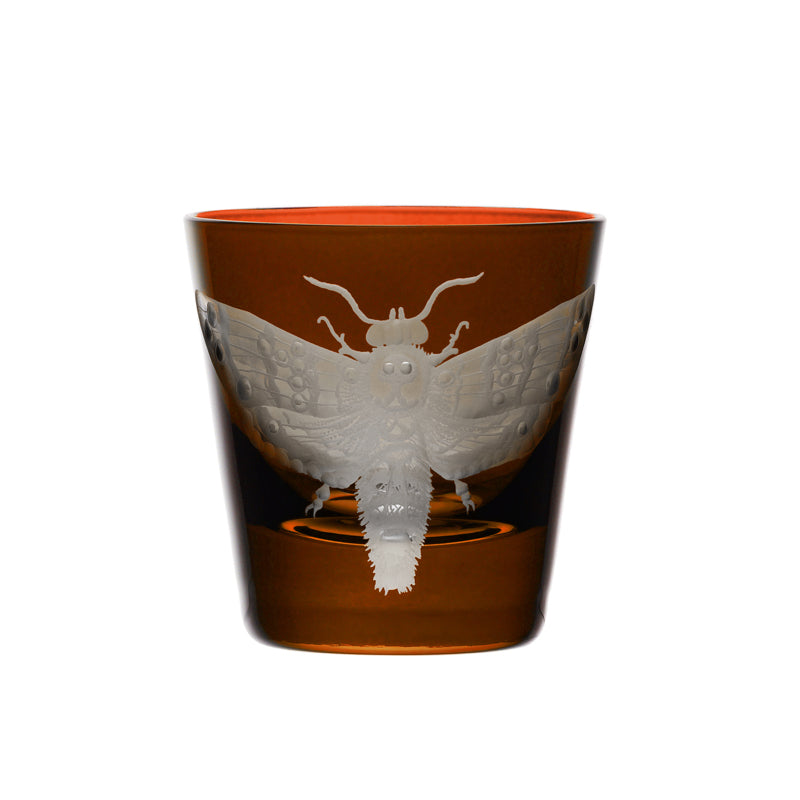 Cabinet of Curiosities Butterfly