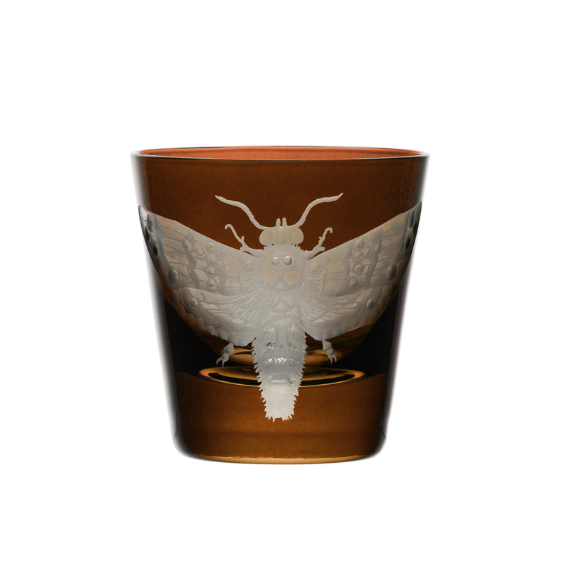 Cabinet of Curiosities Butterfly