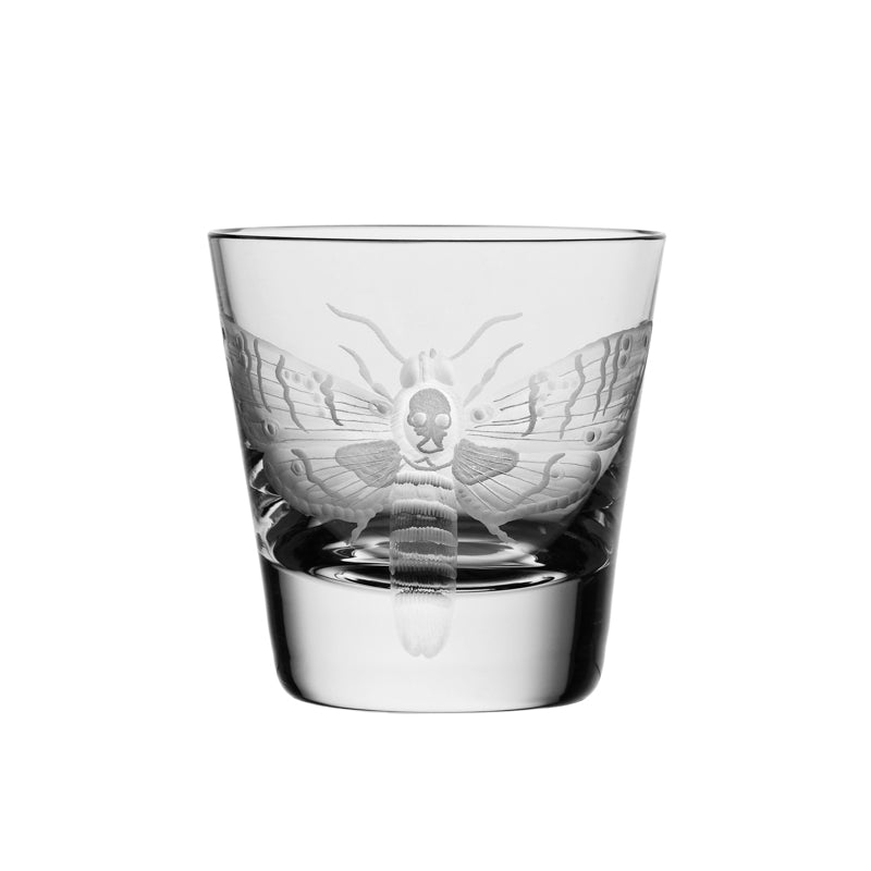 Cabinet of Curiosities Butterfly