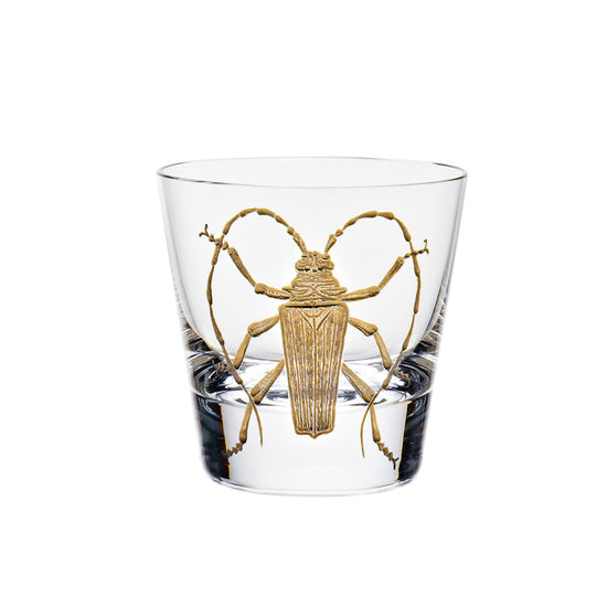 Cabinet of Curiosities Beetle