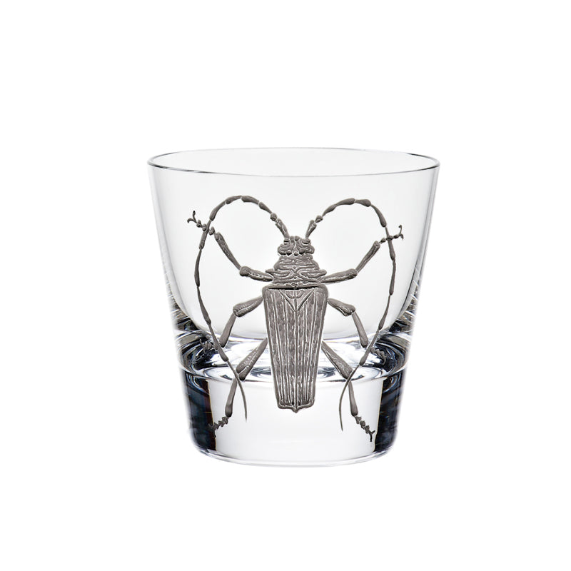 Cabinet of Curiosities Beetle