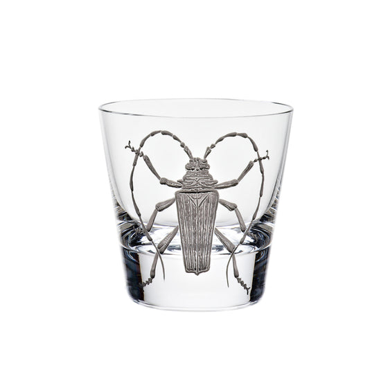 Cabinet of Curiosities Beetle