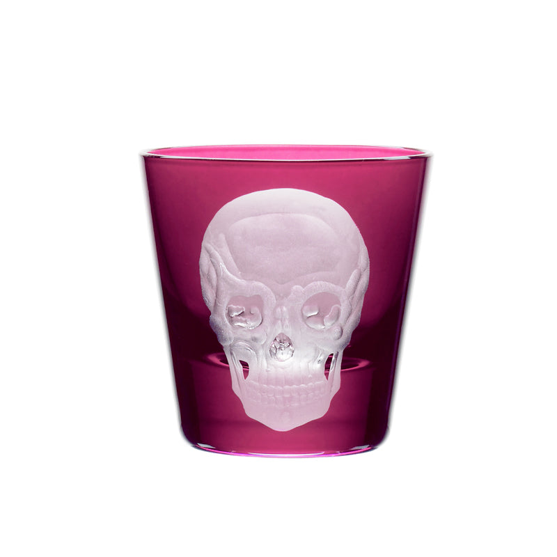 Cabinet of Curiosities Skull