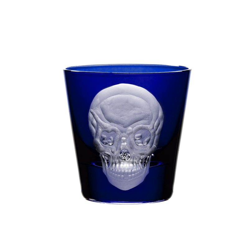 Cabinet of Curiosities Skull