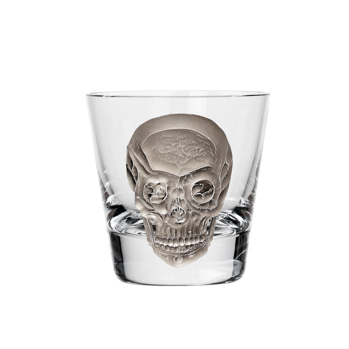 Cabinet of Curiosities Skull