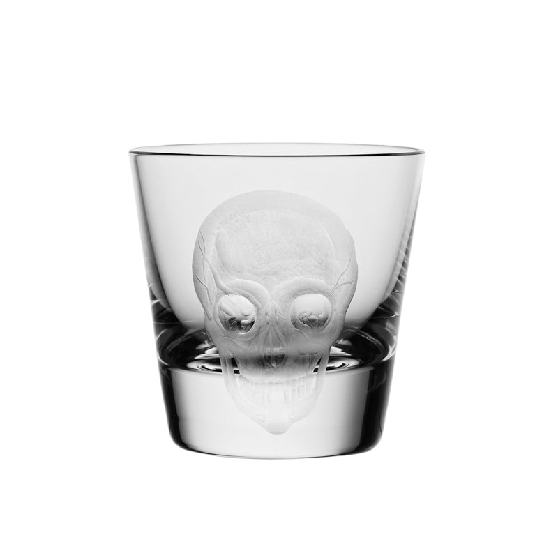 Cabinet of Curiosities Skull