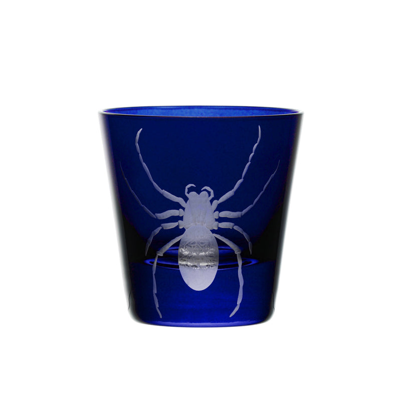 Cabinet of Curiosities Spider
