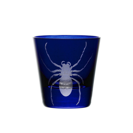 Cabinet of Curiosities Spider