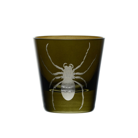 Cabinet of Curiosities Spider