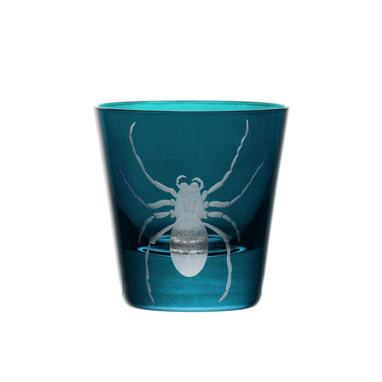 Cabinet of Curiosities Spider