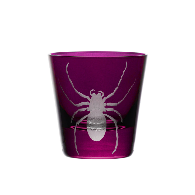 Cabinet of Curiosities Spider