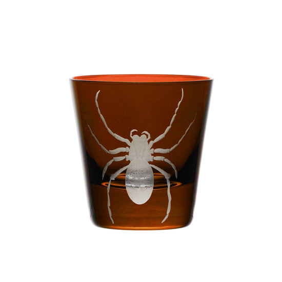Cabinet of Curiosities Spider