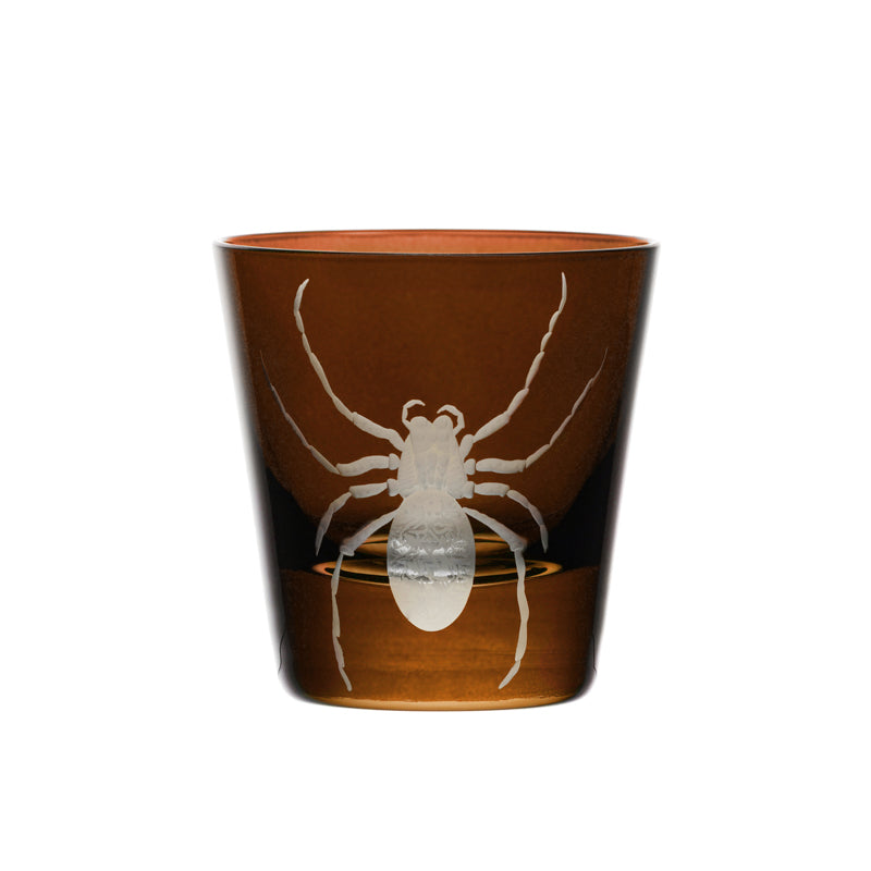Cabinet of Curiosities Spider