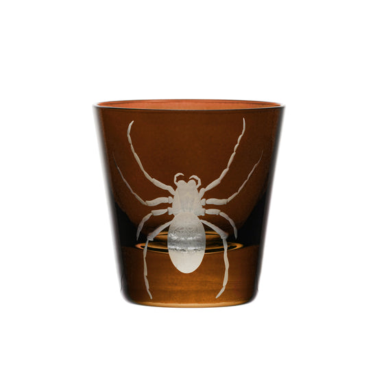 Cabinet of Curiosities Spider