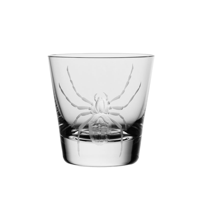 Cabinet of Curiosities Spider