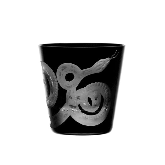 Cabinet of Curiosities Snake