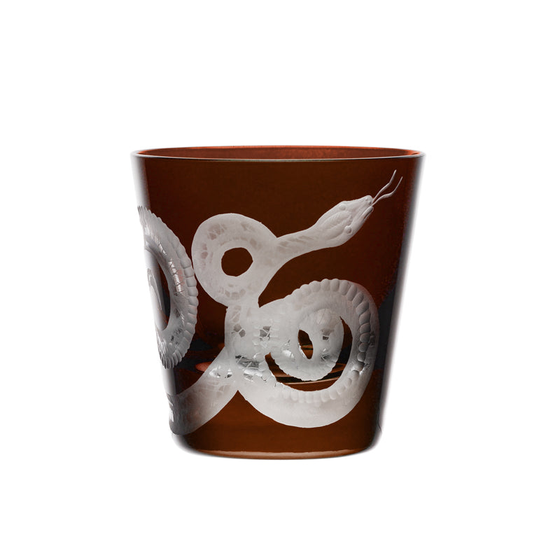 Cabinet of Curiosities Snake