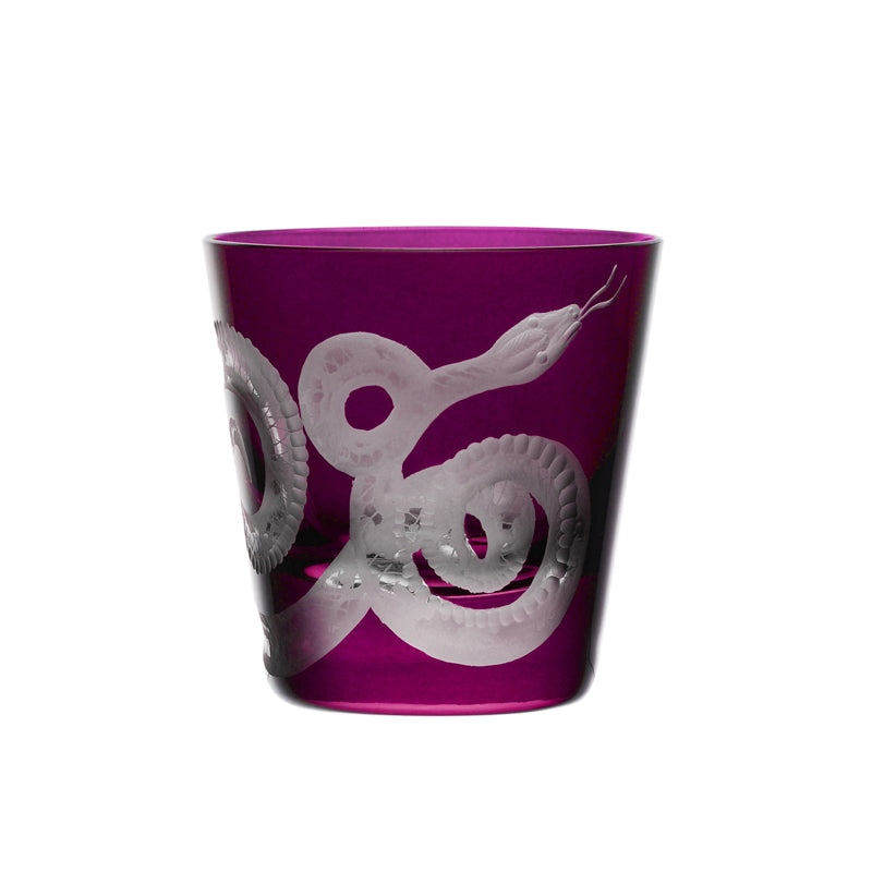 Cabinet of Curiosities Snake