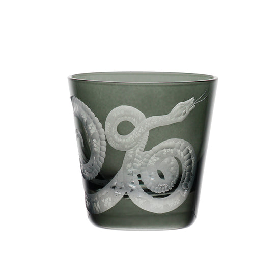 Cabinet of Curiosities Snake