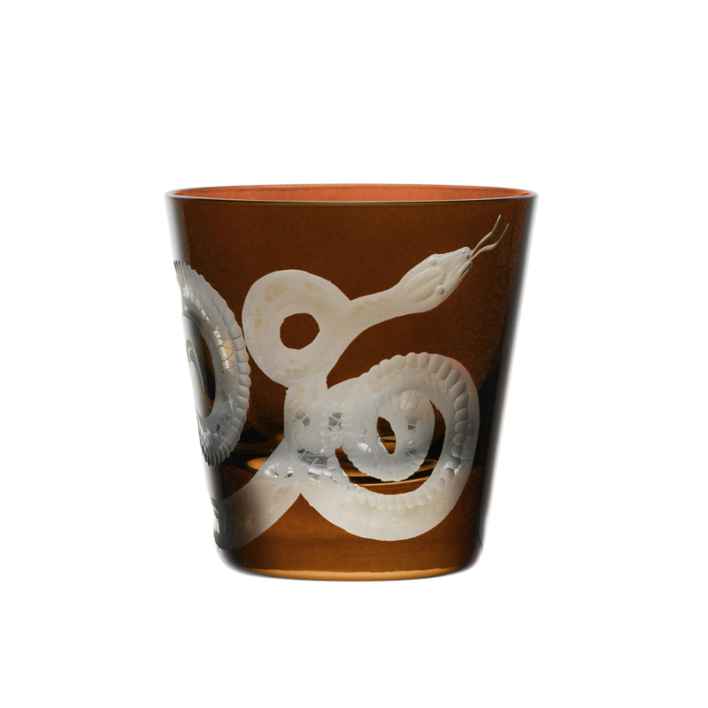 Cabinet of Curiosities Snake